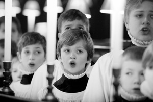 St. Paul's Choristers