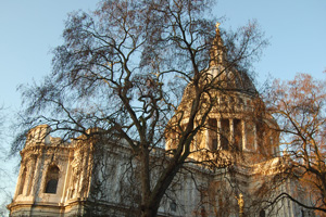 St. Paul's Cathedral